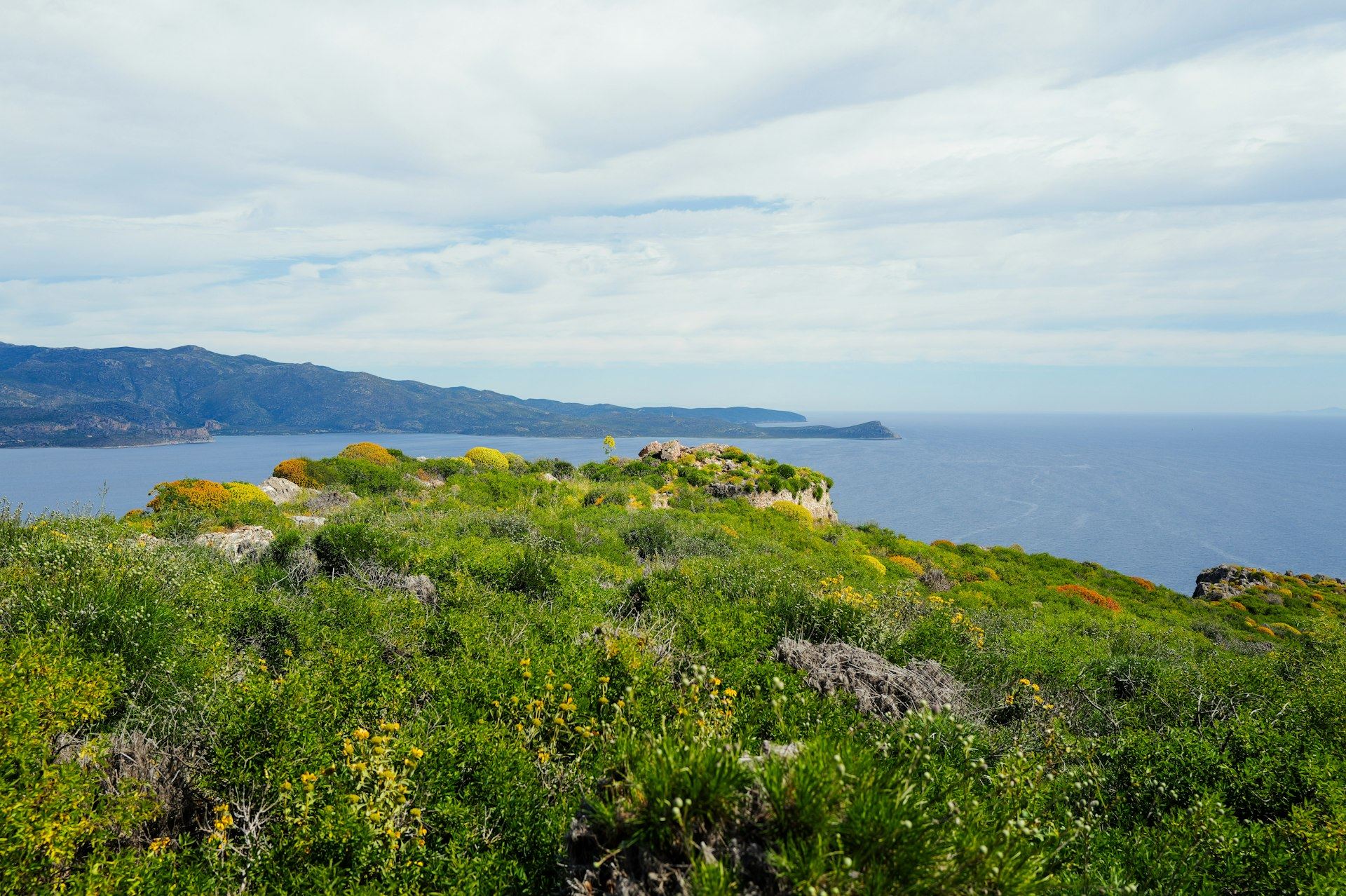Côte verdoyante face à l'océan